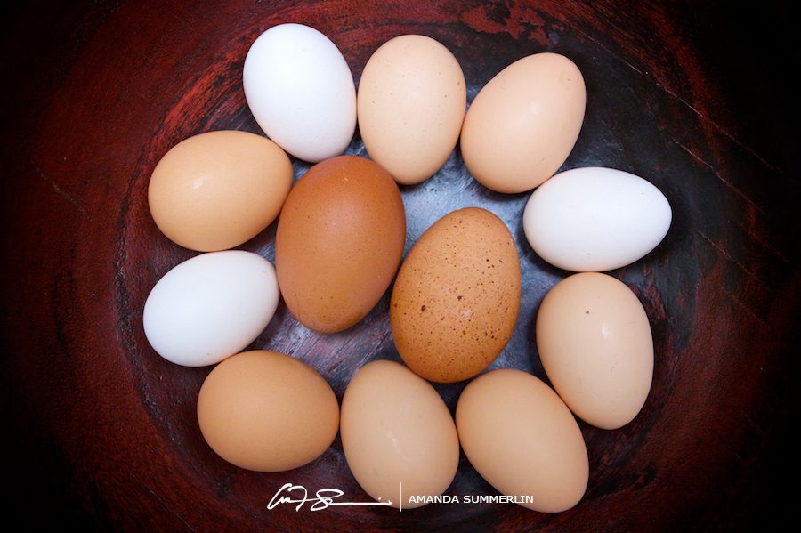Portrait of a dozen fresh home grown eggs
