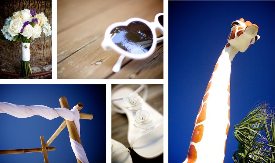 Collage Template