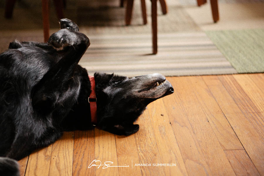 Gay family portrait 1