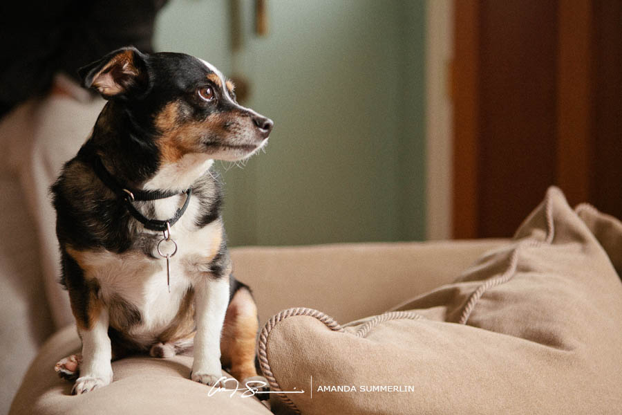 Gay family portrait 2