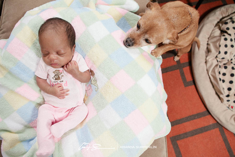 Gay family portrait 4