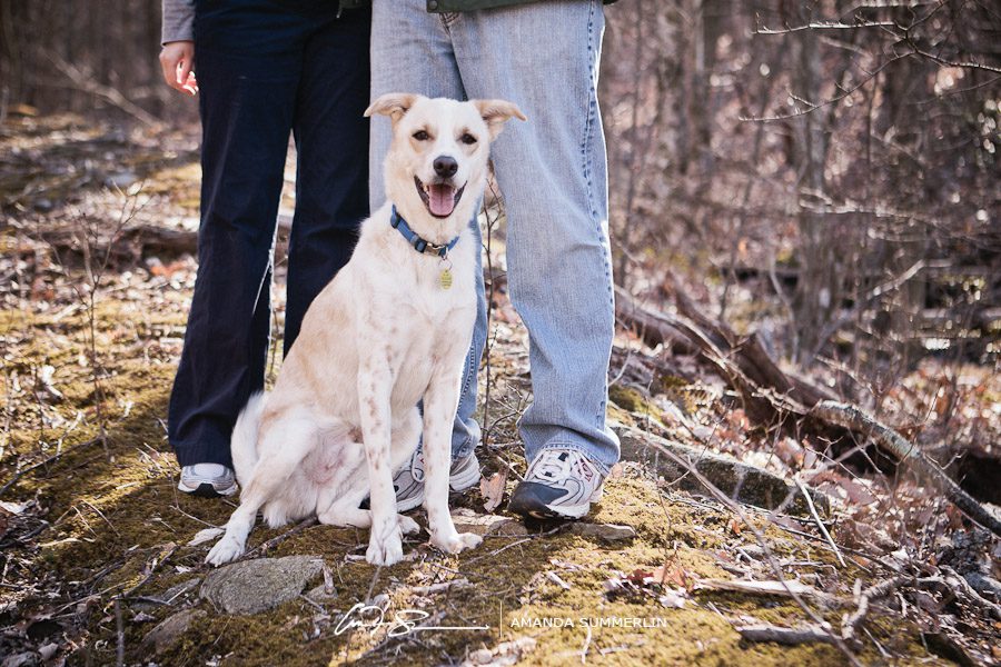 Mountain engagement photos 55