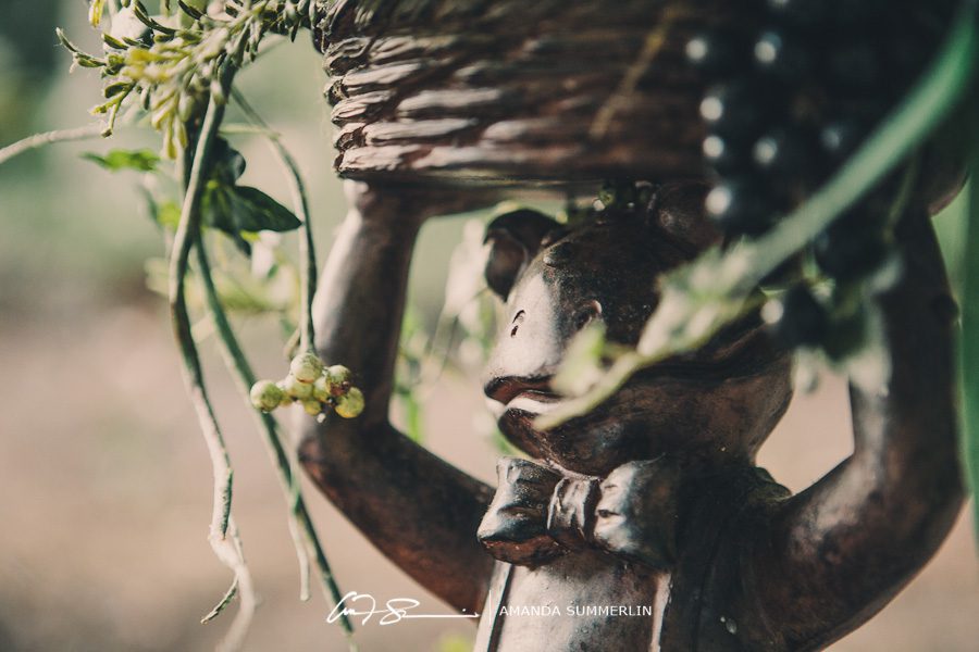 Lgbt lesbian wedding in augusta ga 27