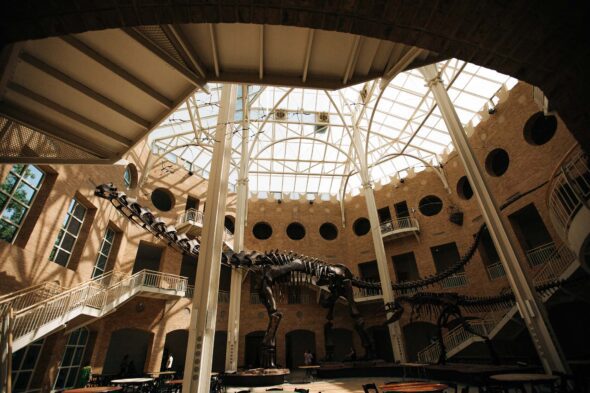A wide angle view of the dinosaur bones in the atrium at Fern Bank science center
