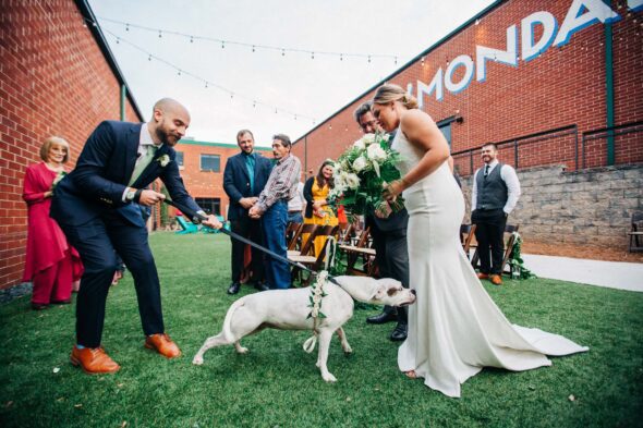 a groom holds the leash of his dog who is reaching toward the bride and sniffing her dress during their wedding ceremony