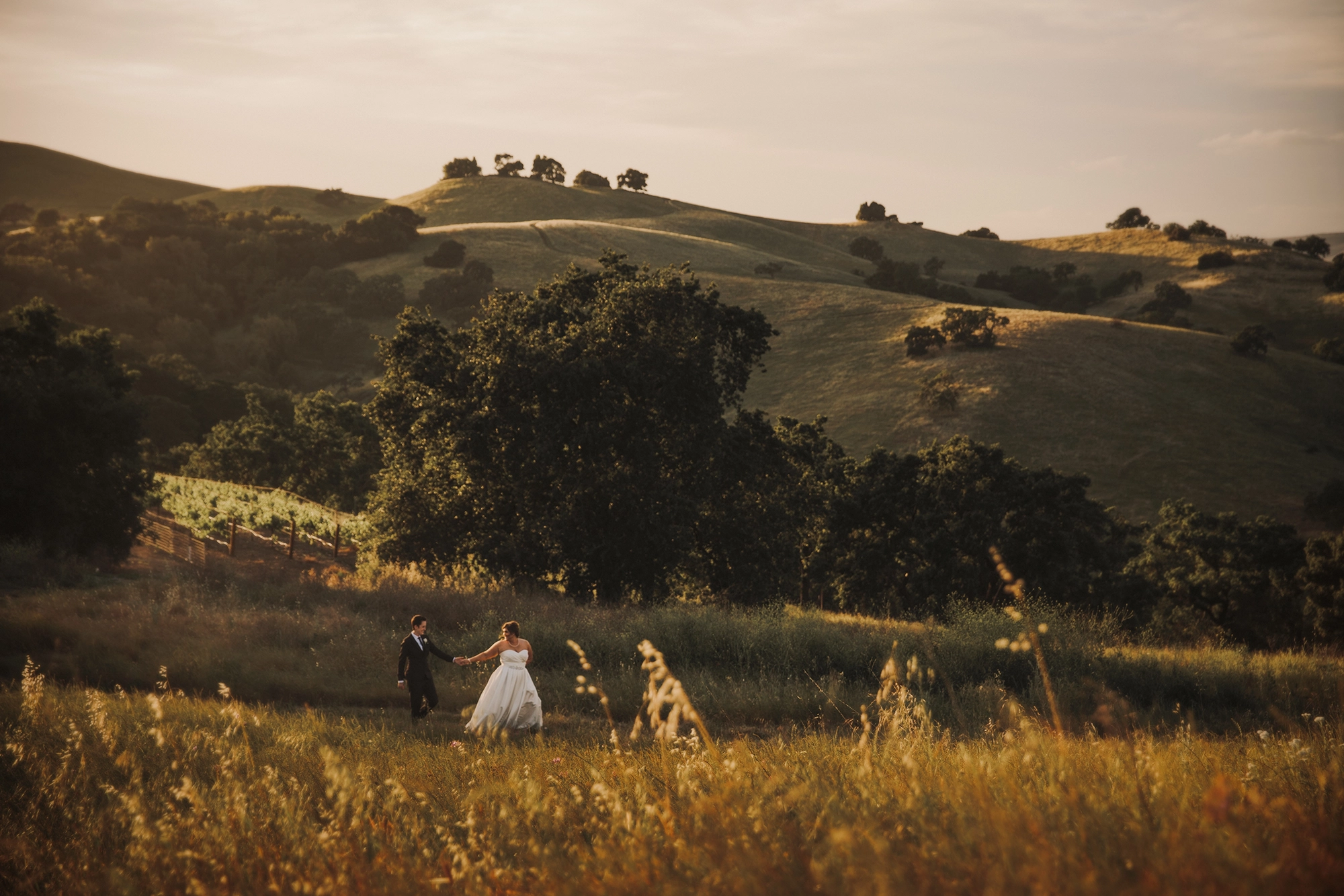Wide angle landscape view of an LGBTQ couple walking across the field after their wedding in California.