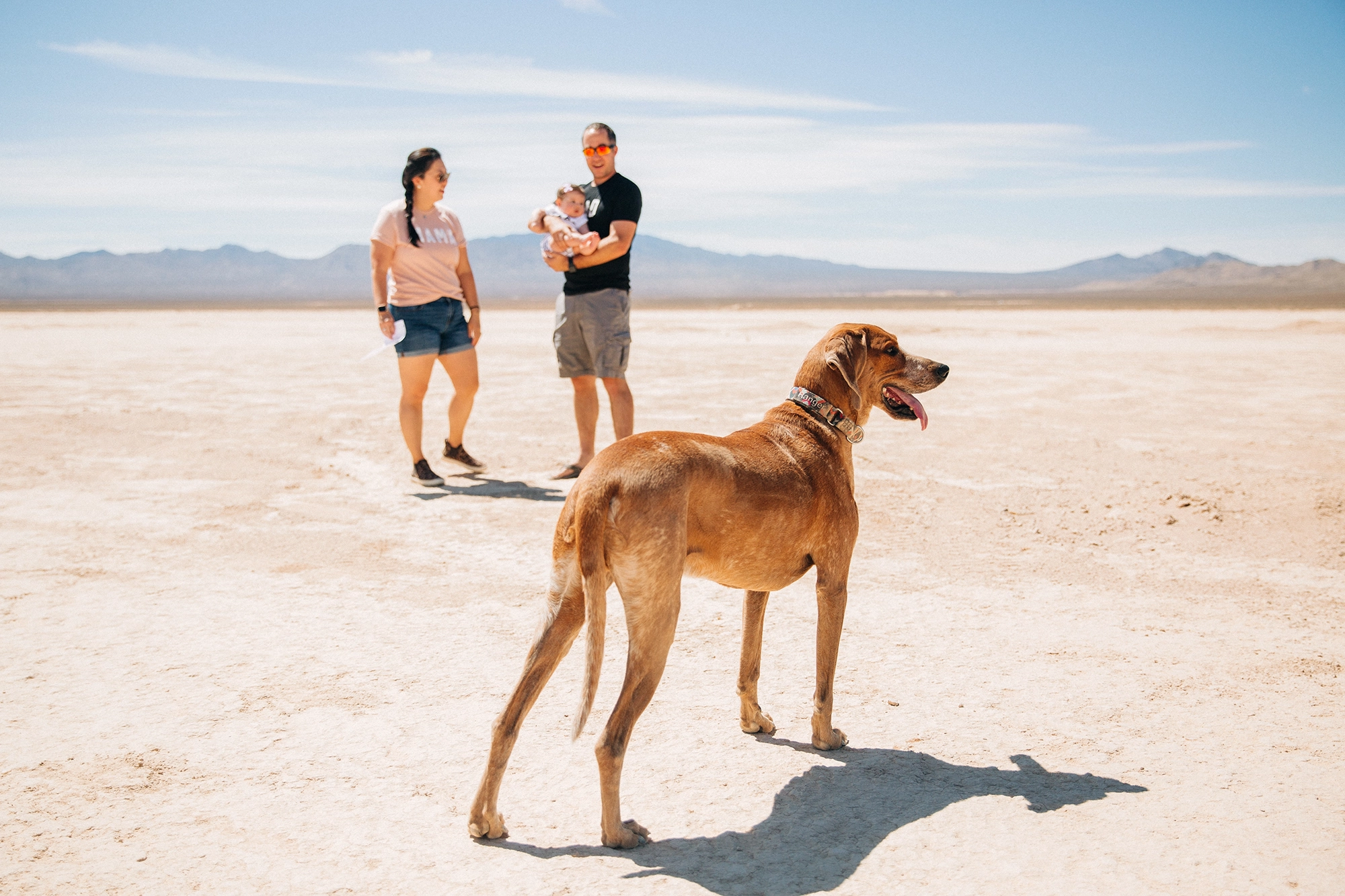 Las Vegas desert family session with dog.