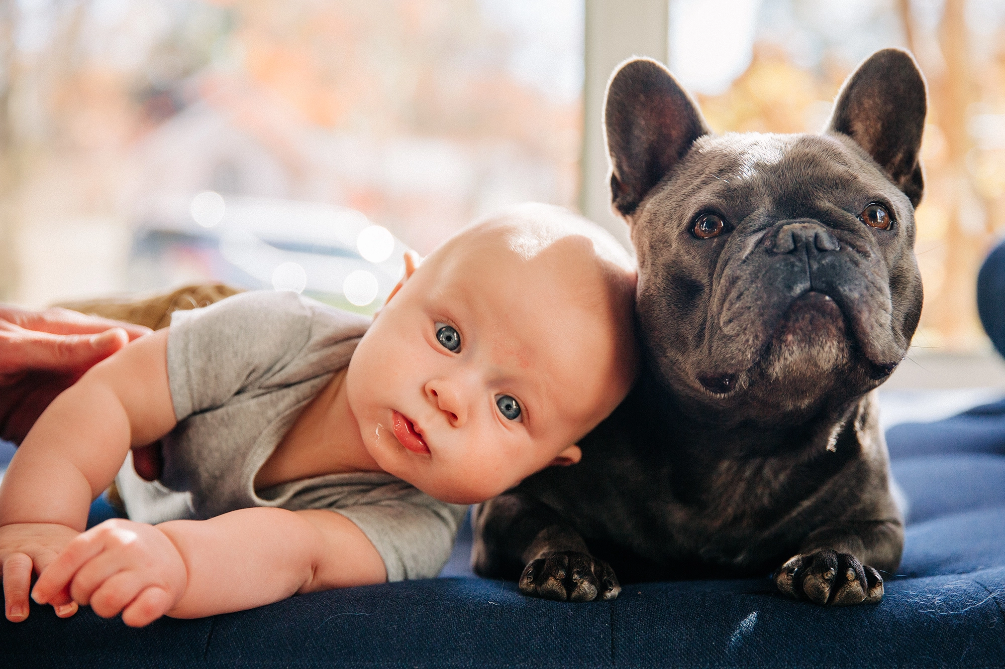 A newborn poses with the family dog in an indoor Atlanta family session.
