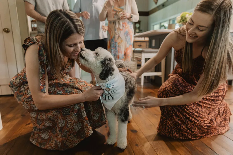 A newly engaged couple, lovingly, pet their dog, who is wearing a bandanna that says she said yes